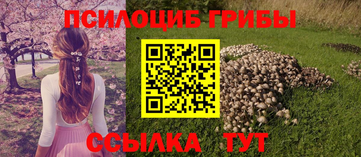 Псилоцибиновые грибы Cubensis  Вход с VPN  Заводоуковск 